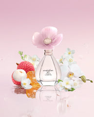Wonderbloom Bliss 3-Piece Set