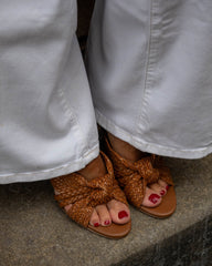 Pheya Mule